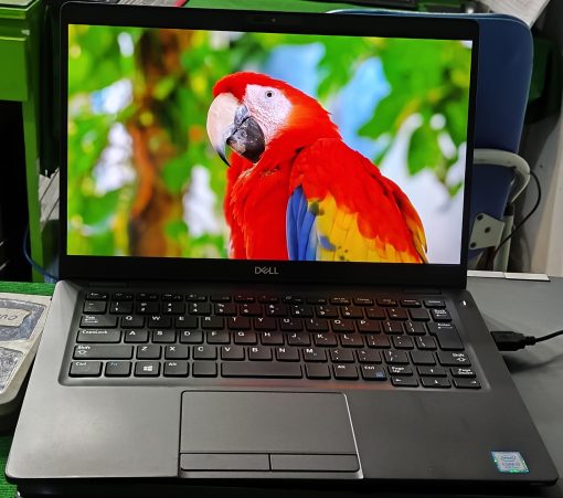 Laptop cũ Dell Latitude 5300